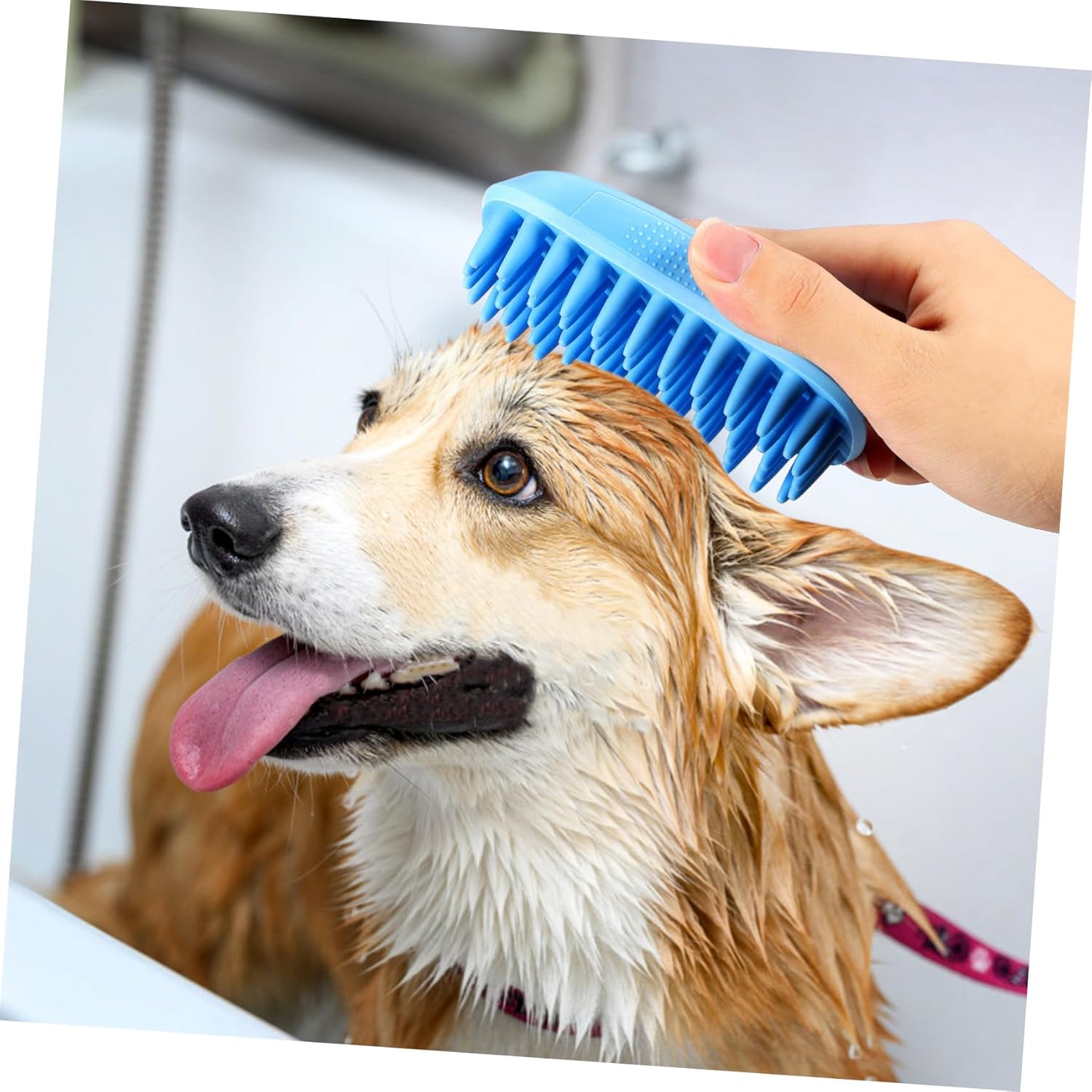 HEMOTON Dog Shampoo Brush for Shedding Dog Bath Brush Cats Comfortable to Clean Grooming Tool Versatile Shower Scrubber for Pet Bathing